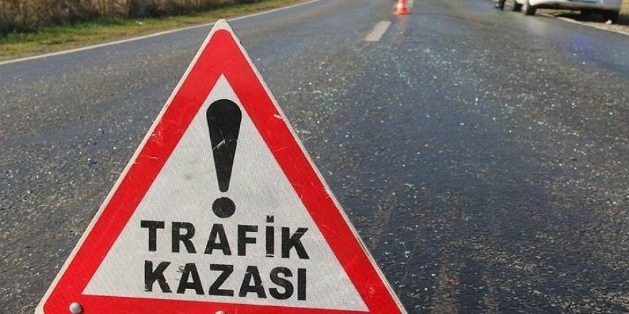 Selim'de Trafik Kazası : 13 yaralı