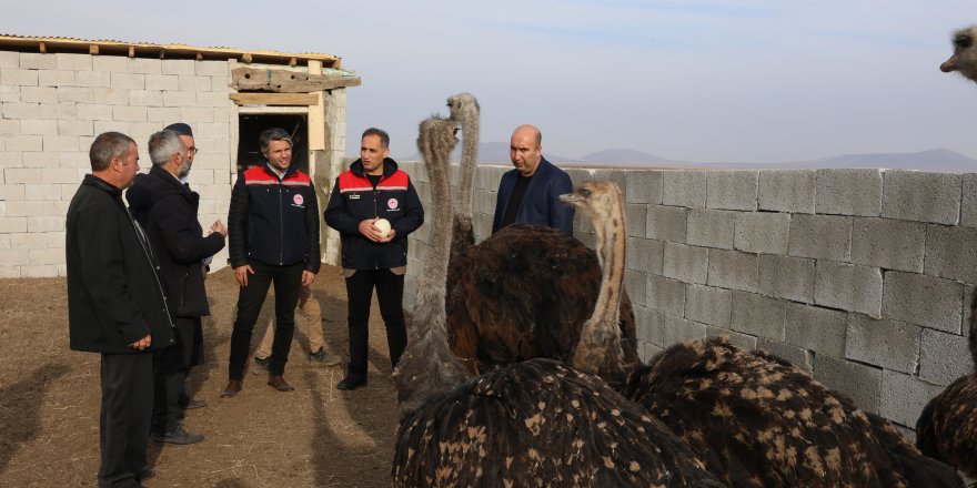 Kars’ta Devekuşu Üretim Tesisi Açıldı