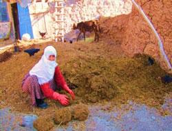 Karslı kadınların çilesi : Tezek