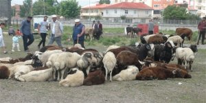 Kars kurban pazarında alıcı da satıcı da dertli!