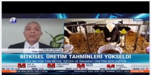 Kars Milletvekili Prof.Dr. Yunus Kılıç, canlı yayında gündemi değerlendirdi