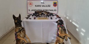 Bomba arama köpekleri silahları buldu