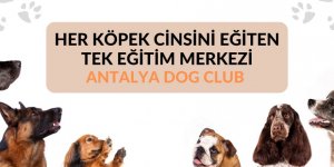 Antalya’nın En İyi Köpek Eğitmeni