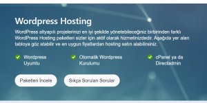 WordPress Hosting Ne İşe Yarar?