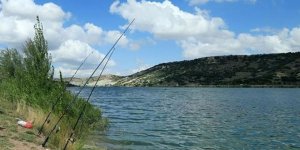 Kars’ta, 15 Mayıs tarihi itibariyle 15 Ağustosa kadar balık avı yasağı başladı.