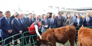 Tarım ve Orman Bakanı İbrahim Yumaklı Kars'ta...