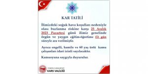 Kars'ta yarın okullar tatil edildi