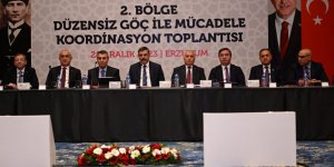 Vali Ziya Polat, Düzensiz Göçle Mücadele Koordinasyon Toplantısına katıldı