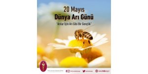 “Dünya Arı Günü”