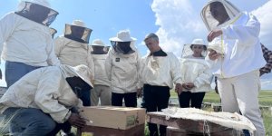 Kars'ta arı yetiştiricilerine eğitim verildi