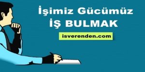 IT ve Yazılım Geliştirme Alanında İş İlanları