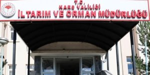 Kars Büyükbaş hayvan varlığı 604 bin 296 olduğu belirtildi